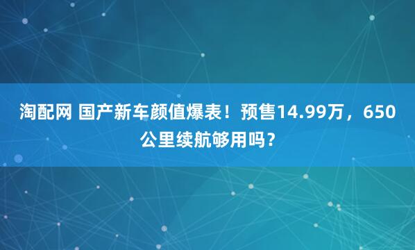 淘配网 国产新车颜值爆表！预售14.99万，650公里续航够用吗？