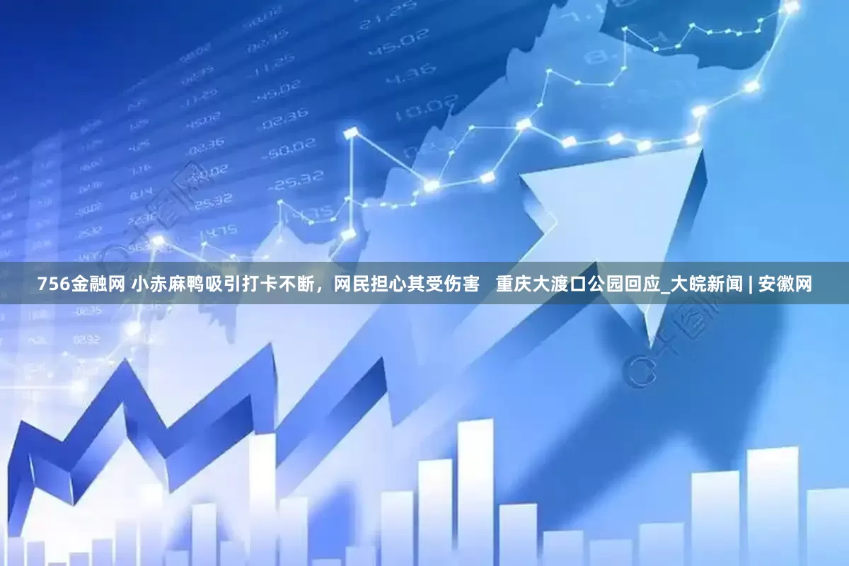 756金融网 小赤麻鸭吸引打卡不断，网民担心其受伤害   重庆大渡口公园回应_大皖新闻 | 安徽网