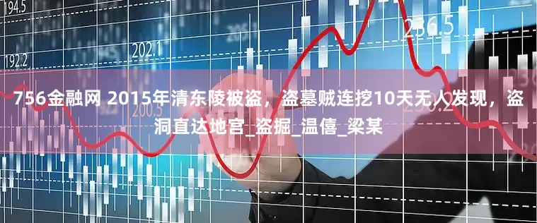 756金融网 2015年清东陵被盗，盗墓贼连挖10天无人发现，盗洞直达地宫_盗掘_温僖_梁某