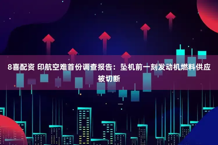 8喜配资 印航空难首份调查报告：坠机前一刻发动机燃料供应被切断