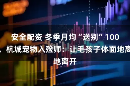 安全配资 冬季月均“送别”100只，杭城宠物入殓师：让毛孩子体面地离开