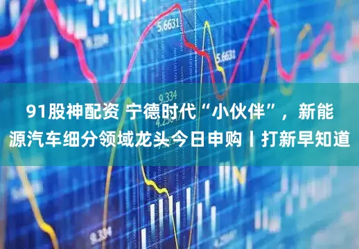 91股神配资 宁德时代“小伙伴”，新能源汽车细分领域龙头今日申购丨打新早知道